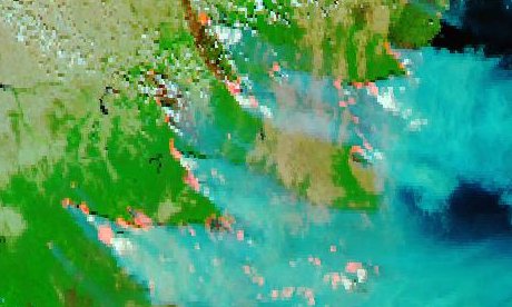Short-wave infrared composite highlighting burnt areas