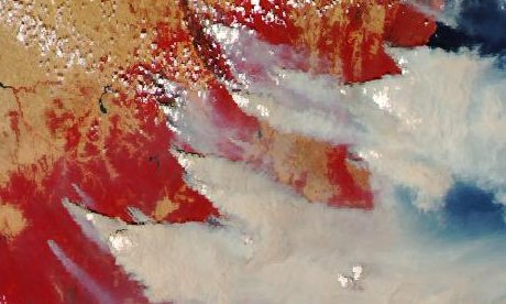 Colour-infrared composite with healthy vegetation in red